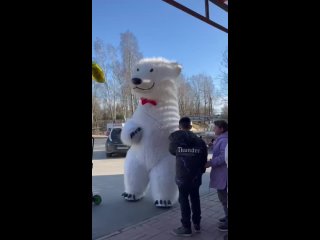 Видео от Танцующие мишки Санкт-Петербург и ЛО