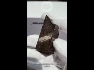 Метеорит Кольцово, обыкновенный хондрит (H4) от Петра Лациса