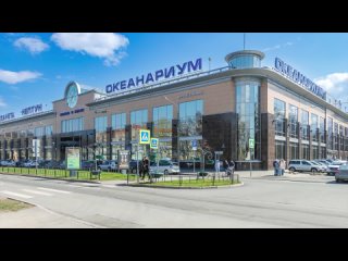 Океанариум в Санкт Петербурге