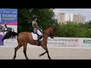 Кубок губернатора - конный спорт в Нижнем Новгороде