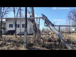 15-летний мальчик в больнице. Возбудили уголовное дело по факту падения дерева