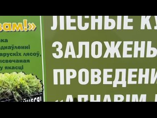 🌲Бобруйские милиционеры присоединились к акции «Аднавім лясы разам!»