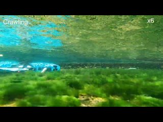 Новый подводный робот с ластами умеет ходить по дну (видео)