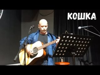 Кошка - текст и музыка Алексей Володский. Исполняет -  Антон Юричев 29 янв 2024