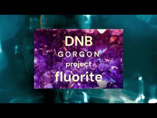 GORGON project - Fluorite #drumnbassmusic #dnb #dnbmusic #dnbnation #drumnbass