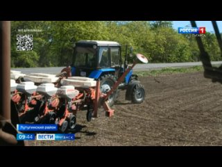 Аграрии ЛНР начали посев масличных культур