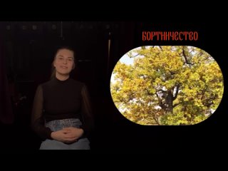 Культура Мордвы