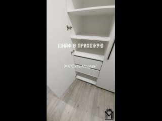 Шкаф в прихожую и в санузел