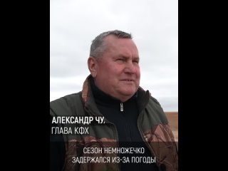 В Астраханской области 15 июня планируют собрать первый урожай картофеля