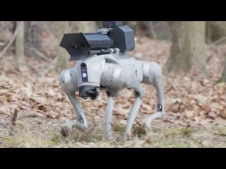 Throwflame unveils robot dog Thermonator with flamethrower attached