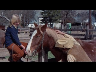 Ночь кролика / Night of the Lepus 1972 г