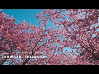 DJ PIV@$$ - Sakura (Прогулка по парку Sakura Japan )