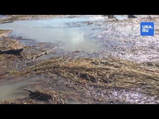 Дорога между селами в Казанском районе затоплена водой
