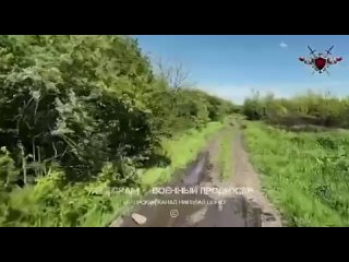 Vladimir Borisov kullancsndan video