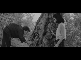 Обитель кошмаров / Тайна горбуна / Ghost of the Hunchback (Хадзимэ Сато / Hajime Satô) [1965, Япония, мистика, ужасы]