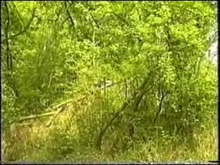 Naturism in Great Britain (H&E Videos. 1995)