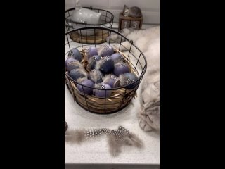 Видео от Дом с кошками