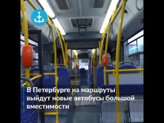 Новые автобусы большой вместимости выйдут на маршруты в Петербурге