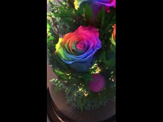 Видео от Розы в светящейся колбе ДВ