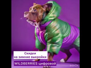 Видео от Одежда для собак своими руками Dress for dogs