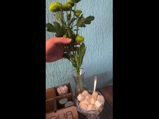 Видео от ЧАЧА кафе | бар | караоке