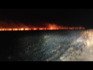Пламя бушует на огромном поле кукурузы в Воронежской области