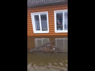 Затопило деревню Заборка Викуловского района Тюменской области.
