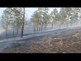 Видео от Забайкальская база авиационной охраны лесов