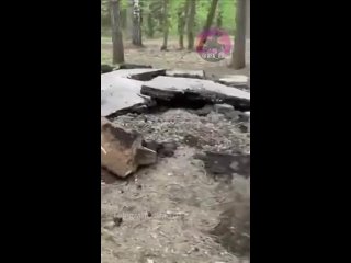 В парке Лесоводов демонтируют идеально ровную дорожку.