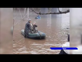 В Оренбургской области спасают животных от наводнения