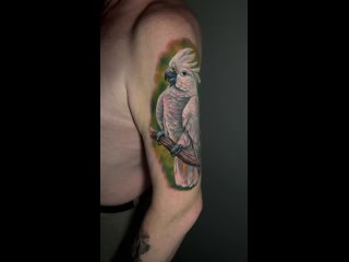 Wideo od Tattoo Studio “Великие Луки“