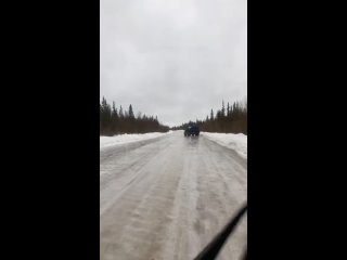 Видео от Персонажи Печоры