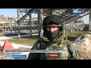ТК “Россия 1“ - в Ленинградской области прошли тактико-специальные учения Росгвардии