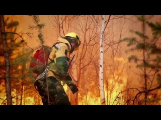 Видеоролик о сбережении лесных ресурсов России (MP4) (1).mp4