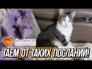 Таем от таких посланий! | Мята