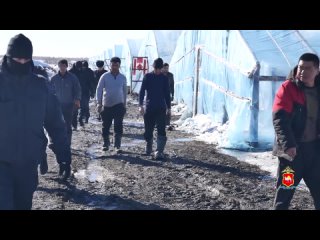 500 нарушений выявили полицейские Челябинской области за пять дней оперативно-профилактического мероприятия «Нелегальный мигрант