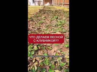 Советы от Пенсионеров