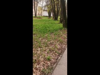 Видео от Алексея Чугунова
