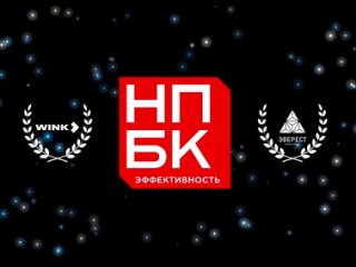 Wink и ЭВЕРЕСТ сейлз-хаус получили награды на «НПБК.Эффективность»