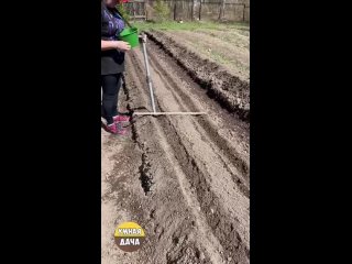 Полезный совет, чтобы спина не болела на даче.