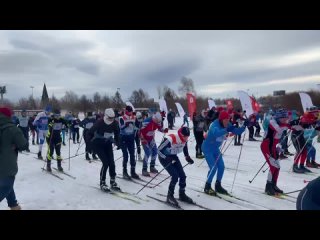 Красноярцы присоединились ко всероссийской массовой лыжной гонке «Лыжня России»