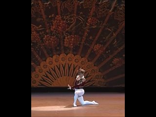 Владимир Шкляров - Базиль. Вариация из балета Дон Кихот