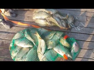 Видео от Рыбалка в Краснодаре “Озёра Адыгеи“
