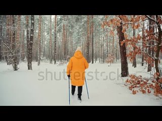 stock-footage-winter-forest-exploration-retirement-woman-senior-woman-fitness-s-workout-fitness-endurance