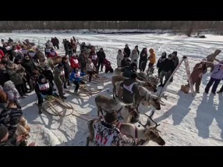 🦌В Якутии отпраздновали День оленевода – «Хуктывун-2024»