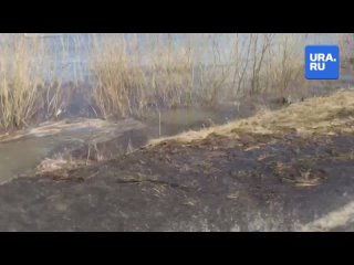 Вода стремительно заливает дороги между селами Тюменской области