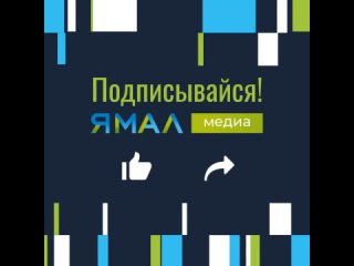 Водители застряли в снежном плену на автодороге Аксарка — Салехард