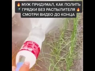 Это гениально! 💡