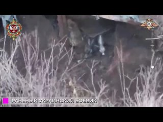 📹Мощные сбросы 58 обСпН пробивают защиту украинских укреплений и уничтожают боевиков ВСУ

Когда  украинские боевики успевают спр