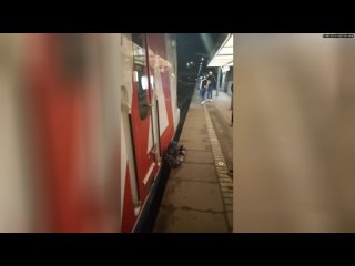 В Подмосковье на станции “Щербинка“ синебот упал под приближающуюся электричку и застрял между платф